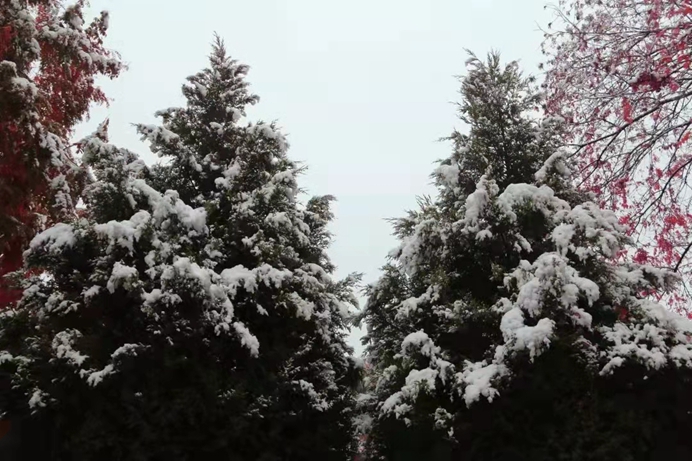 1636598893326483.jpg